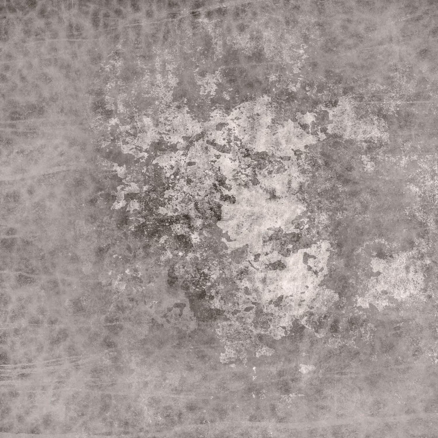 Top 10 Places Mold Might Be hiding Inside Your Home