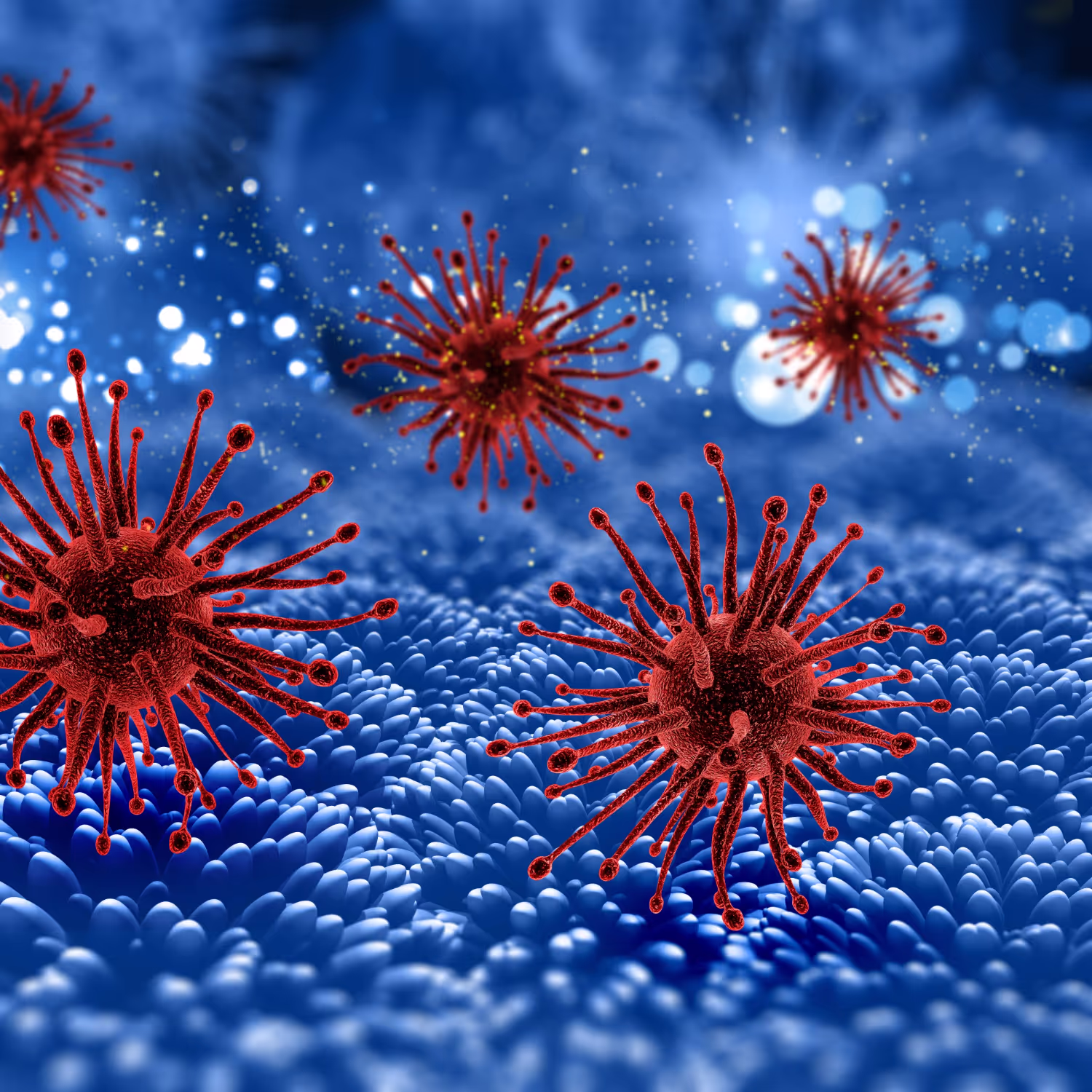 Is Your Home and Your Body Full of Toxins? What can be done?
