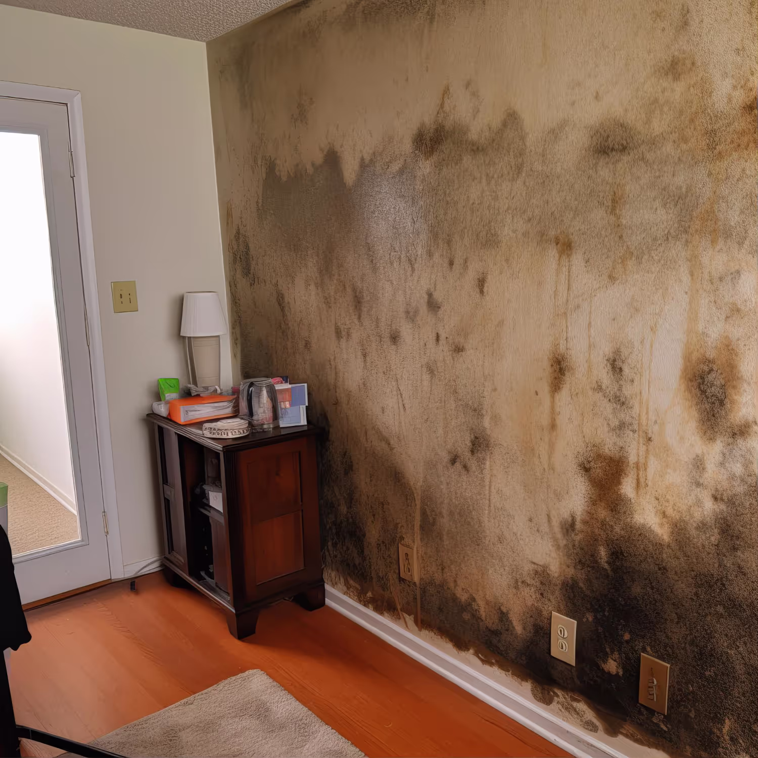 More About Mold Load