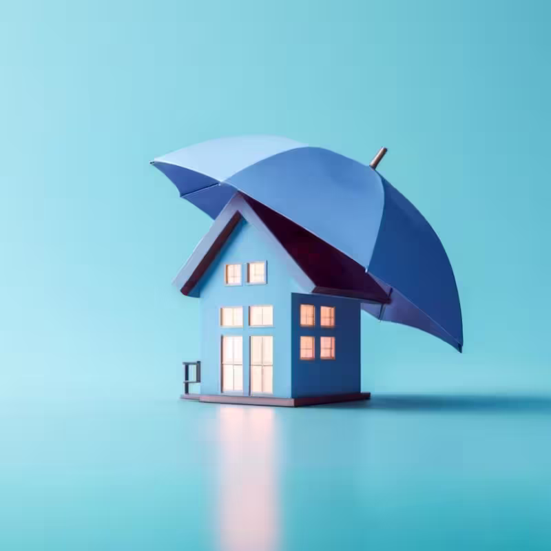Guide To Mold Damage & Insurance Coverage